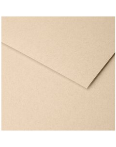 Бумага для пастели Ingres 50x65 см 130 г мрамор Clairefontaine