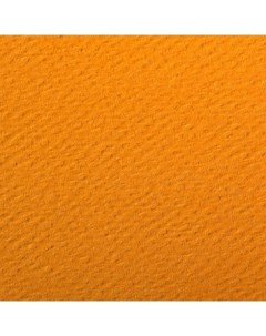 Бумага для пастели Etival color 50x65 см 160 г солнечный желтый Clairefontaine