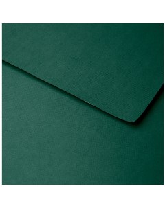 Бумага для пастели Ingres 50x65 см 130 г глубокий зеленый Clairefontaine