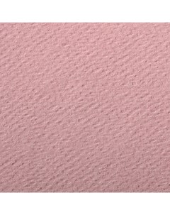 Бумага для пастели Etival color 50x65 см 160 г темно розовый Clairefontaine