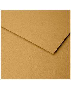 Бумага для пастели Ingres 50x65 см 130 г желтый Clairefontaine