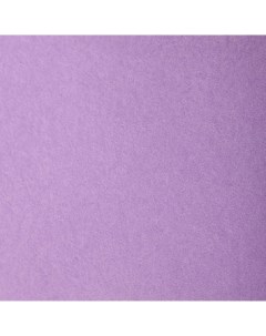 Бумага для пастели Etival color 50x65 см 160 г фиолетовый светлый Clairefontaine