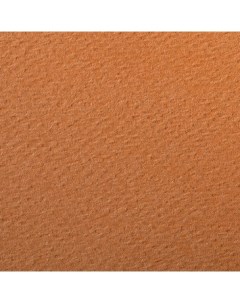 Бумага для пастели Etival color 50x65 см 160 г ржавчина Clairefontaine