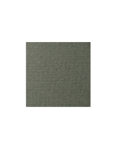 Бумага для пастели COLOURS 50x65 см 160 г виридоновый зеленый Лана