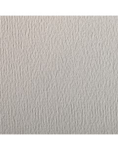 Бумага для пастели Etival color 50x65 см 160 г светло серый Clairefontaine