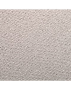 Бумага для пастели Etival color 50x65 см 160 г розово серый Clairefontaine