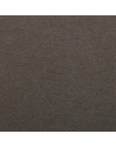 Бумага для пастели Etival color 50x65 см 160 г антрацит Clairefontaine