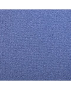 Бумага для пастели Etival color 50x65 см 160 г голубая лаванда Clairefontaine