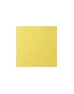 Бумага для пастели COLOURS 50x65 см 160 г светло желтый Лана