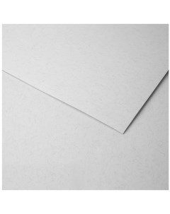 Бумага для пастели Ingres 50x65 см 130 г бледно серый Clairefontaine