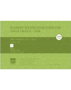 Альбом склейка для акварели 26х38 см 10 л 300 г хлопок среднезернистая Baohong