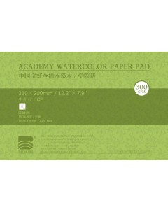 Альбом склейка для акварели 20х31 см 10 л 300 г хлопок среднезернистая Baohong