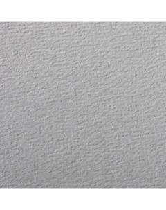 Бумага для пастели Etival color 50x65 см 160 г серый Clairefontaine