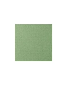 Бумага для пастели COLOURS 50x65 см 160 г зеленый сок Лана