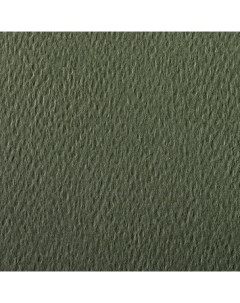 Бумага для пастели Etival color 50x65 см 160 г зеленое море Clairefontaine