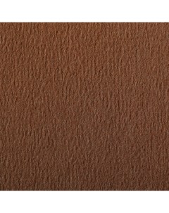 Бумага для пастели Etival color 50x65 см 160 г коричневый Clairefontaine