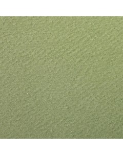 Бумага для пастели Etival color 50x65 см 160 г зеленый миндаль Clairefontaine