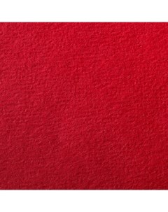 Бумага для пастели Etival color 50x65 см 160 г ярко красный Clairefontaine