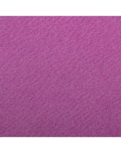 Бумага для пастели Etival color 50x65 см 160 г фиолетовый Clairefontaine