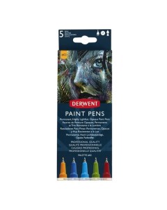 Набор капиллярных ручек Paint Pen 2 5 шт Derwent