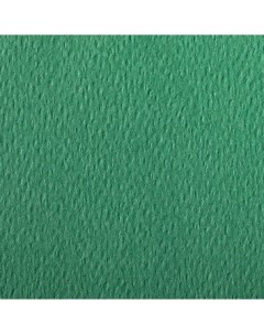 Бумага для пастели Etival color 50x65 см 160 г темно зеленый Clairefontaine