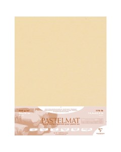 Бумага для пастели Pastelmat 50x70 см 360 г Лютик Clairefontaine