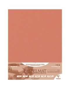 Бумага для пастели Pastelmat 50x70 см 360 г Натуральная сиена Clairefontaine