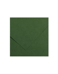Бумага тонированная Iris Vivaldi А4 240 г 31 темно зеленый Canson