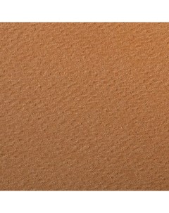 Бумага для пастели Etival color 75x110 см 160 г ржавчина Clairefontaine