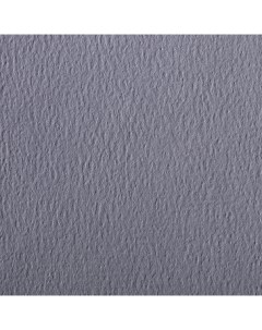 Бумага для пастели Etival color 50x65 см 160 г глубокий серый Clairefontaine