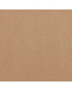 Бумага для пастели Палаццо 50x70 см 160 г цвет бежевый Лилия холдинг
