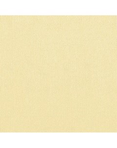 Бумага для пастели Палаццо 50x70 см 160 г песочный Лилия холдинг