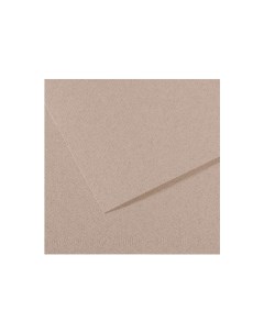 Бумага для пастели MI TEINTES 21x29 7 см 160 г 426 светло серый Canson