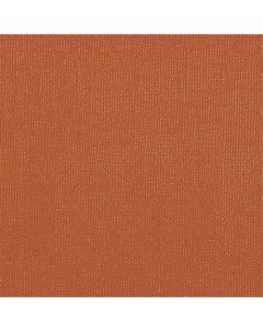 Бумага для пастели Палаццо 50x70 см 160 г терракотовый Лилия холдинг