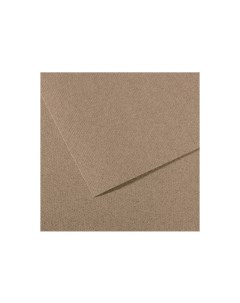 Бумага для пастели MI TEINTES 50x65 см 160 г 431 серый с разводами Canson
