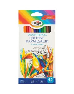 Набор карандашей цветных Классические 12 цв картонная упаковка Gamma
