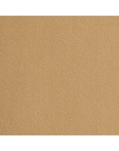 Бумага для пастели Hahnemuhle Velour 50x70 см 1л 260 г цвет песочный Hahnemuhle fineart