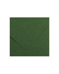 Бумага тонированная Iris Vivaldi 50х65 см 120 г 31 темно зеленый Canson