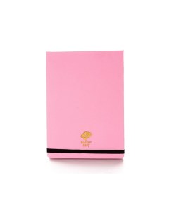 Скетчбук для акварели 134х192 мм 20 л 300 г мелкозернистая розовый резинкой Paul rubens