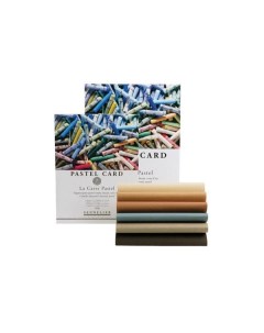 Альбом склейка для пастели Pastel Card 39 5х59 5 см 12 л 360 г 6 цветов Sennelier
