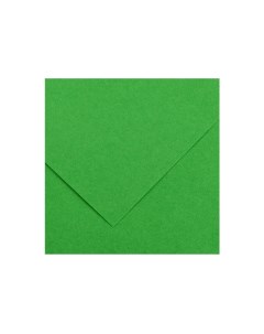 Бумага тонированная Iris Vivaldi 50х70 см 120 г 28 травяной зеленый Canson