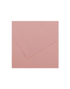 Бумага тонированная Iris Vivaldi А4 120 г 10 розовый Canson