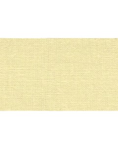Бумага для пастели Палаццо 35x50 см 160 г песочный Лилия холдинг