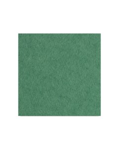Бумага для акварели лист 200 г Зеленый Лилия холдинг