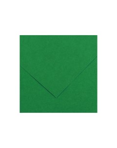 Бумага тонированная Iris Vivaldi А4 240 г 30 зеленый мох Canson