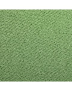 Бумага для пастели Etival color 50x65 см 160 г зеленое яблоко Clairefontaine