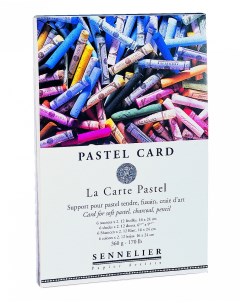 Альбом склейка для пастели Pastel Card 16х24 см 12 л 360 г 6 цветов Sennelier