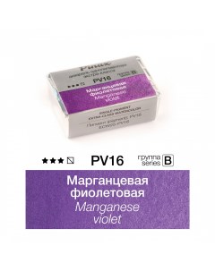 Акварель ЭКСТРА 2 5 мл Марганцевая фиолетовая Pinax
