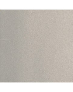 Бумага для пастели Hahnemuhle Velour 50x70 см 1л 260 г цвет серый светлый Hahnemuhle fineart