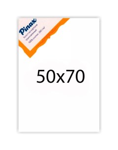 Холст грунтованный на картоне 280 г 50x70 см Pinax